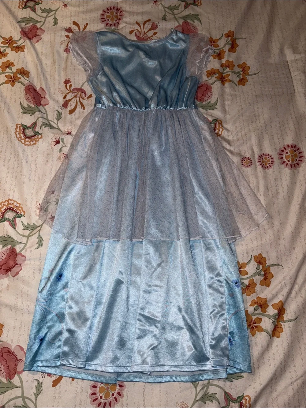 Disney Light Blue Cinderella Dress with Sheer Overlay